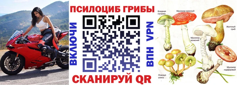 Псилоцибиновые грибы Psilocybe  Новочебоксарск 